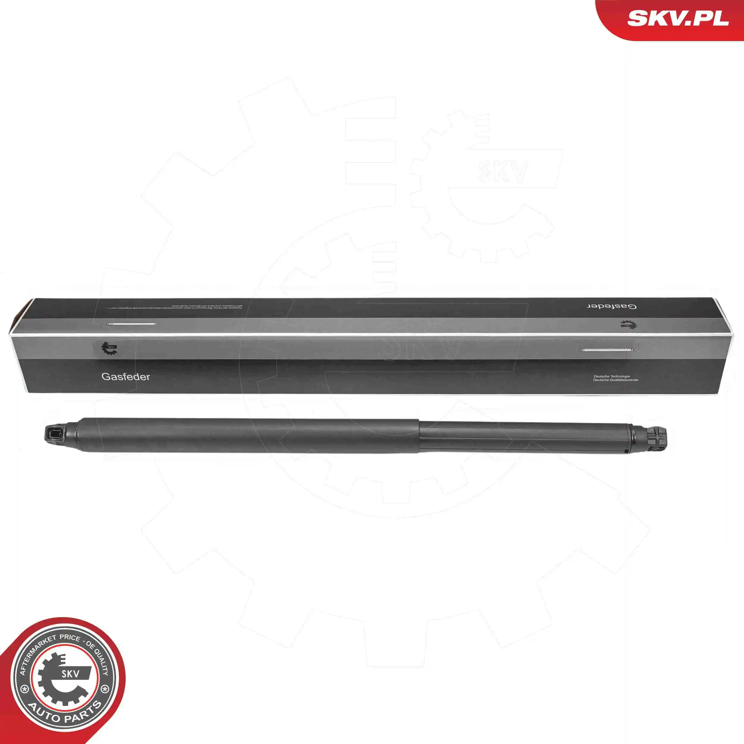 Gas Spring, boot/cargo area